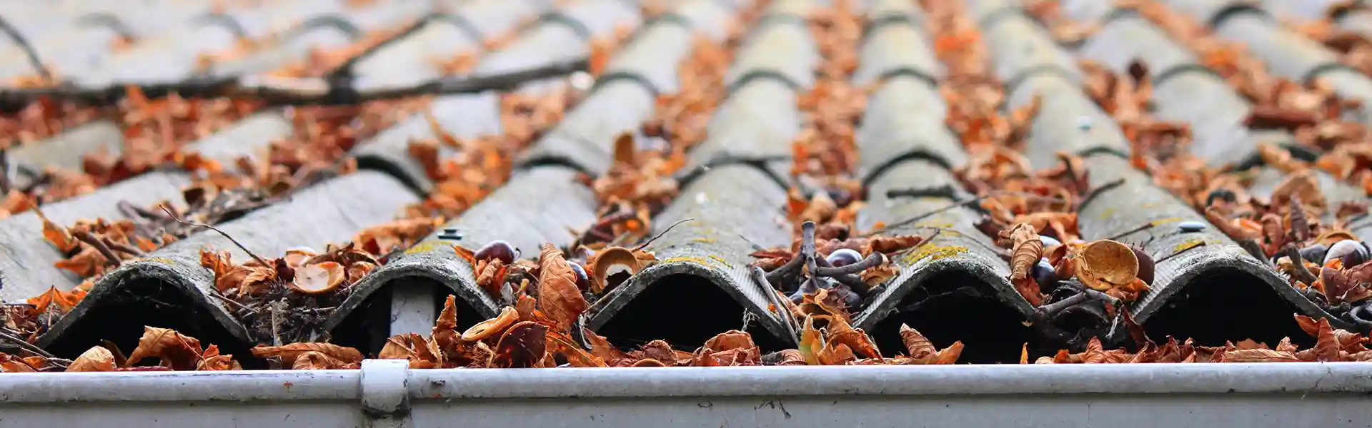 Viera fl roof maintenance tips